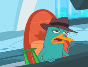тоглоомууд Perry the Platypus Phineas болон Ferb Perry agent